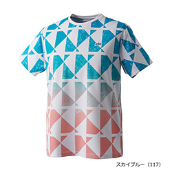 スカイブルー（117）
