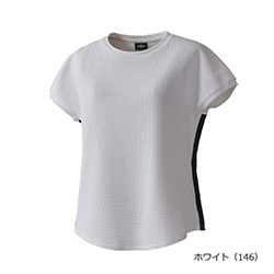 ホワイト（146）
